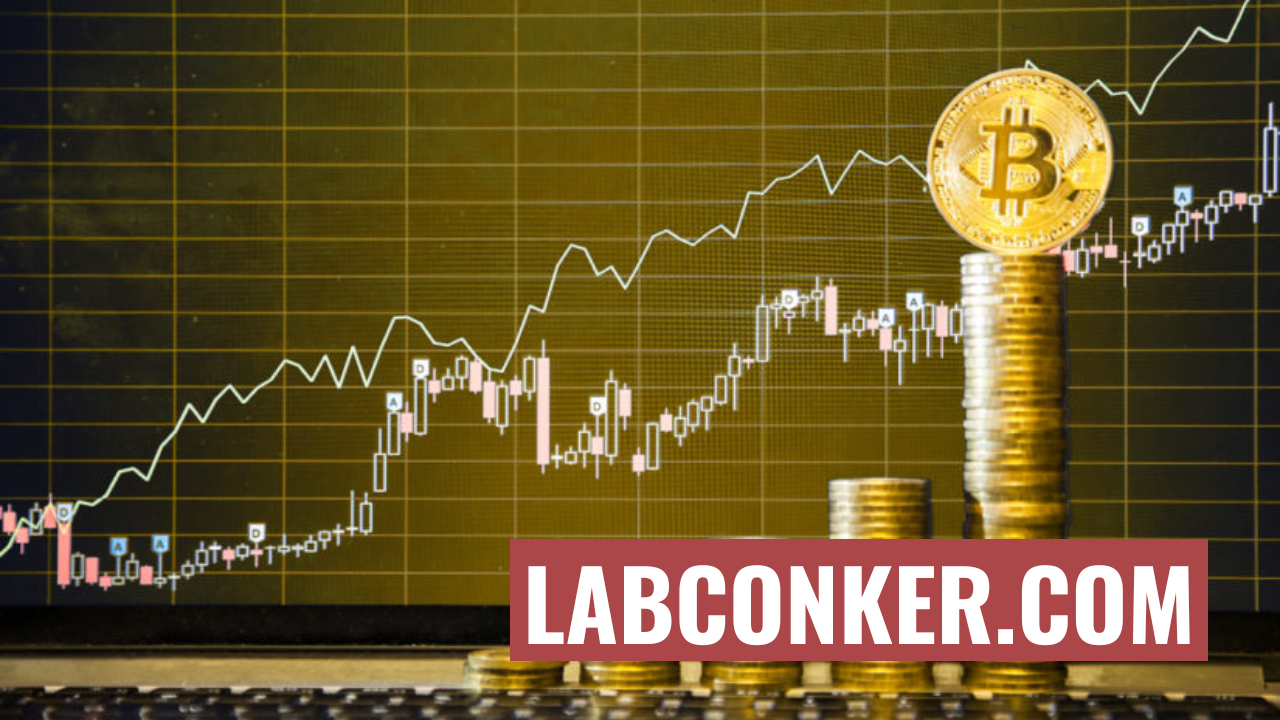 Gráfico de crecimiento de inversión en criptomonedas